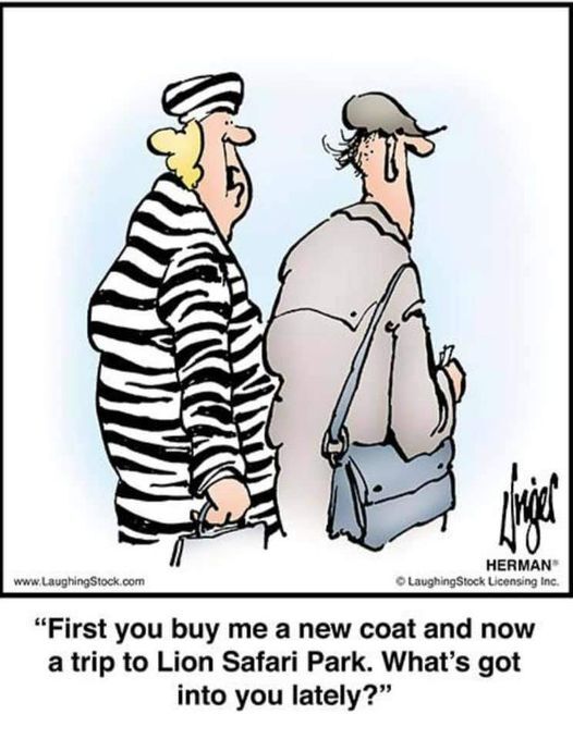 zebra coat.jpg