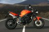 triumph speed triple - still (4).jpg