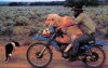 Funny-picture-of-a-farmer-on-a-motorbike-with-a-sheep.jpg