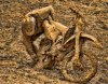 Cleaning-The-Muddy-Motorcycle.jpg