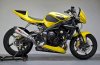 STR-R-Triumph-3-medium.jpg