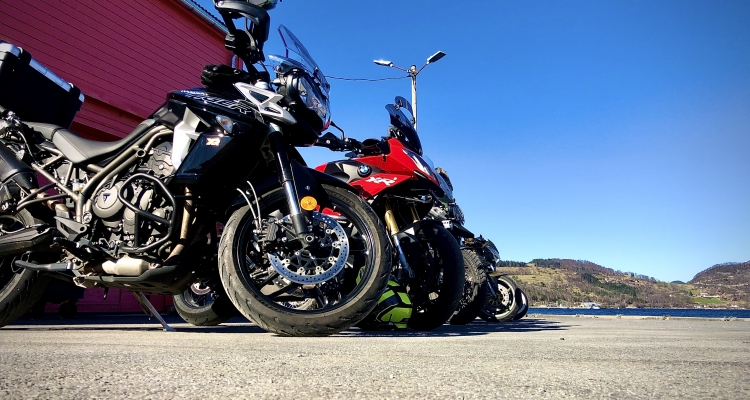 Sunny Ride Norwegian Fjord