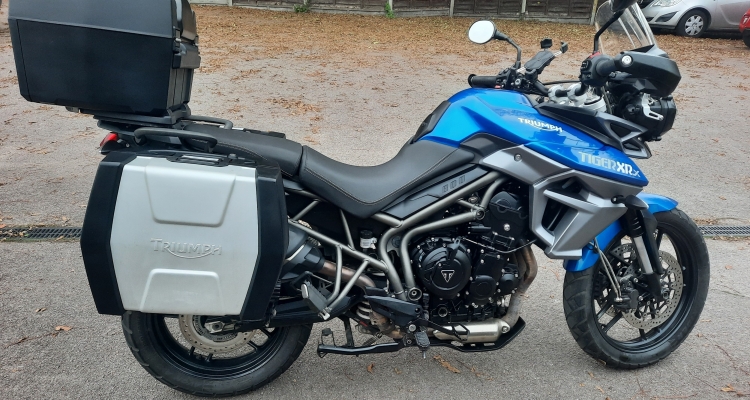 Tiger 800 - Back In The Game