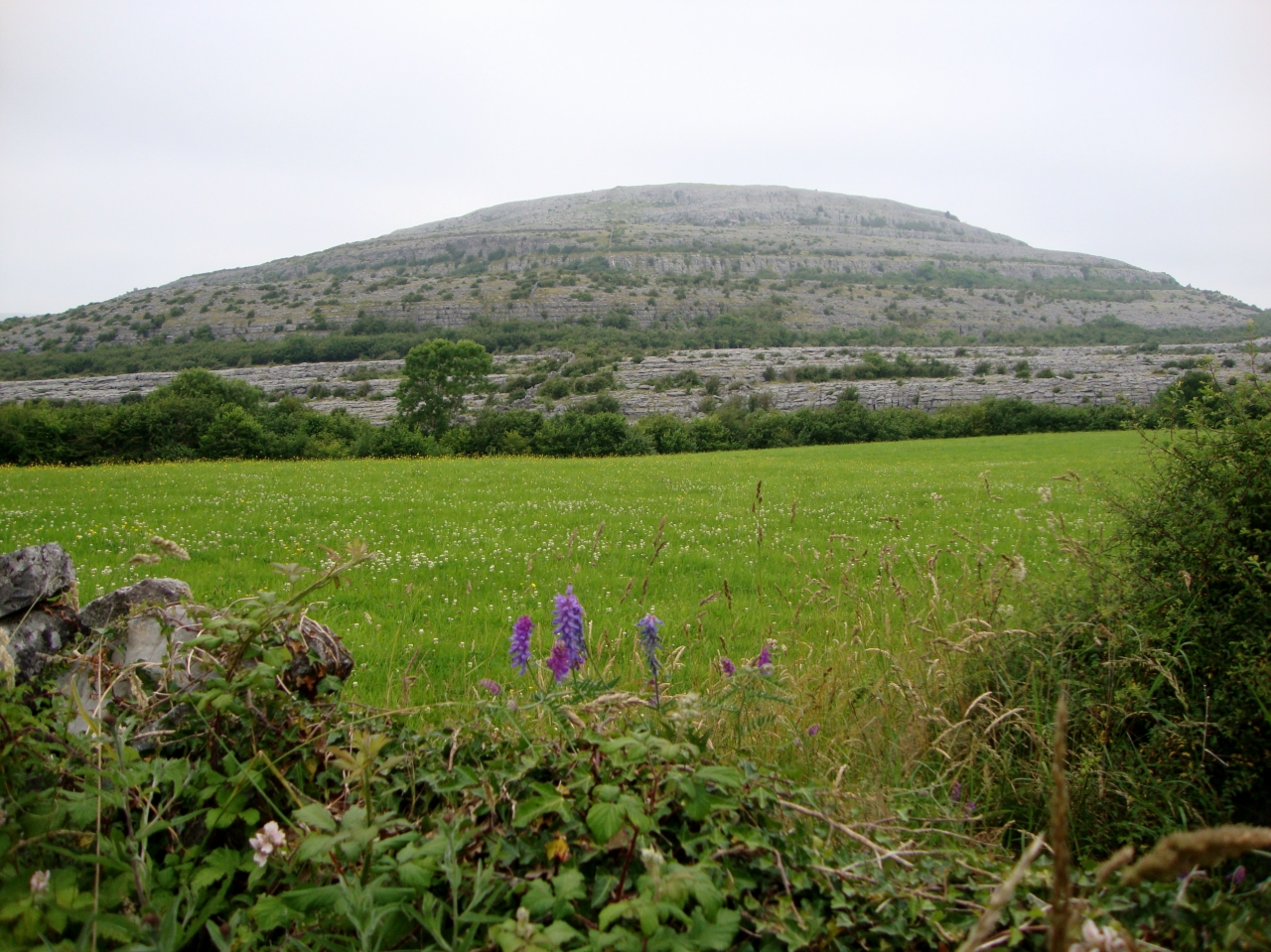 The Burren,Co Clare.