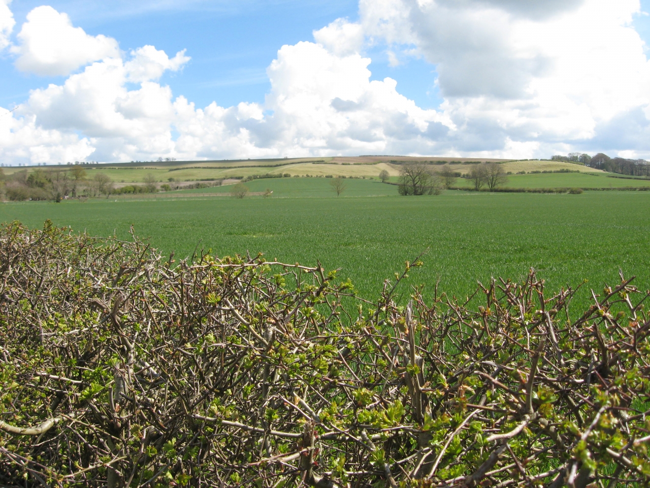 Lincolnshire at its very best.