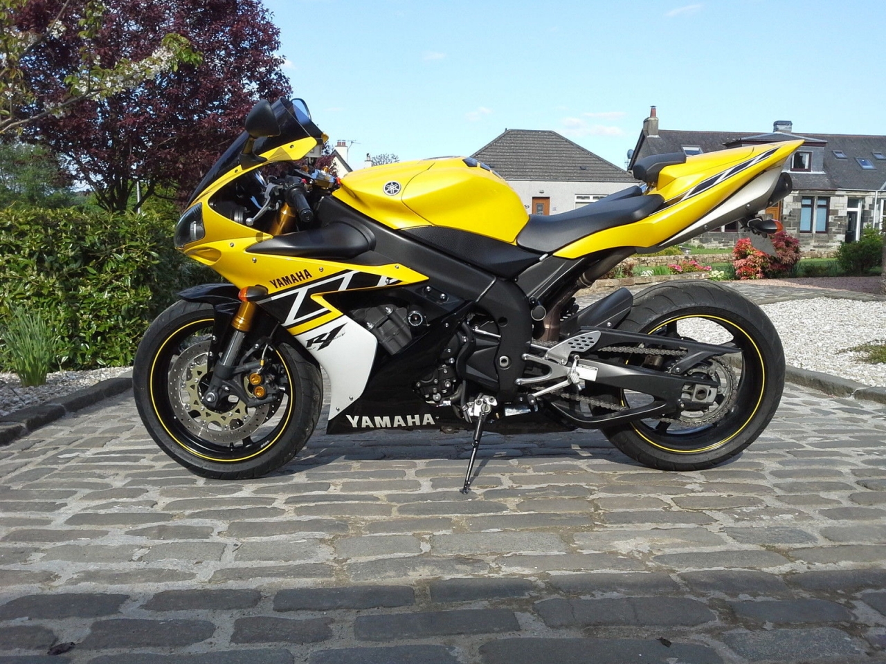 (11) Eleventh Bike 2006 Yamaha R1 50th Anniversary Purchased May 2016