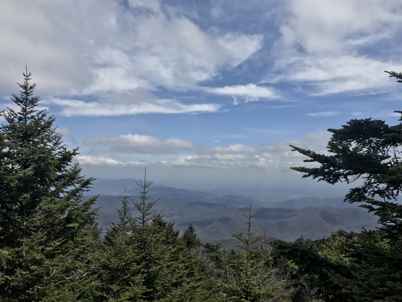 View from Mt. Mitchell State Park on the Blue Ridge Parkway, North Carolina. Elevation just over...