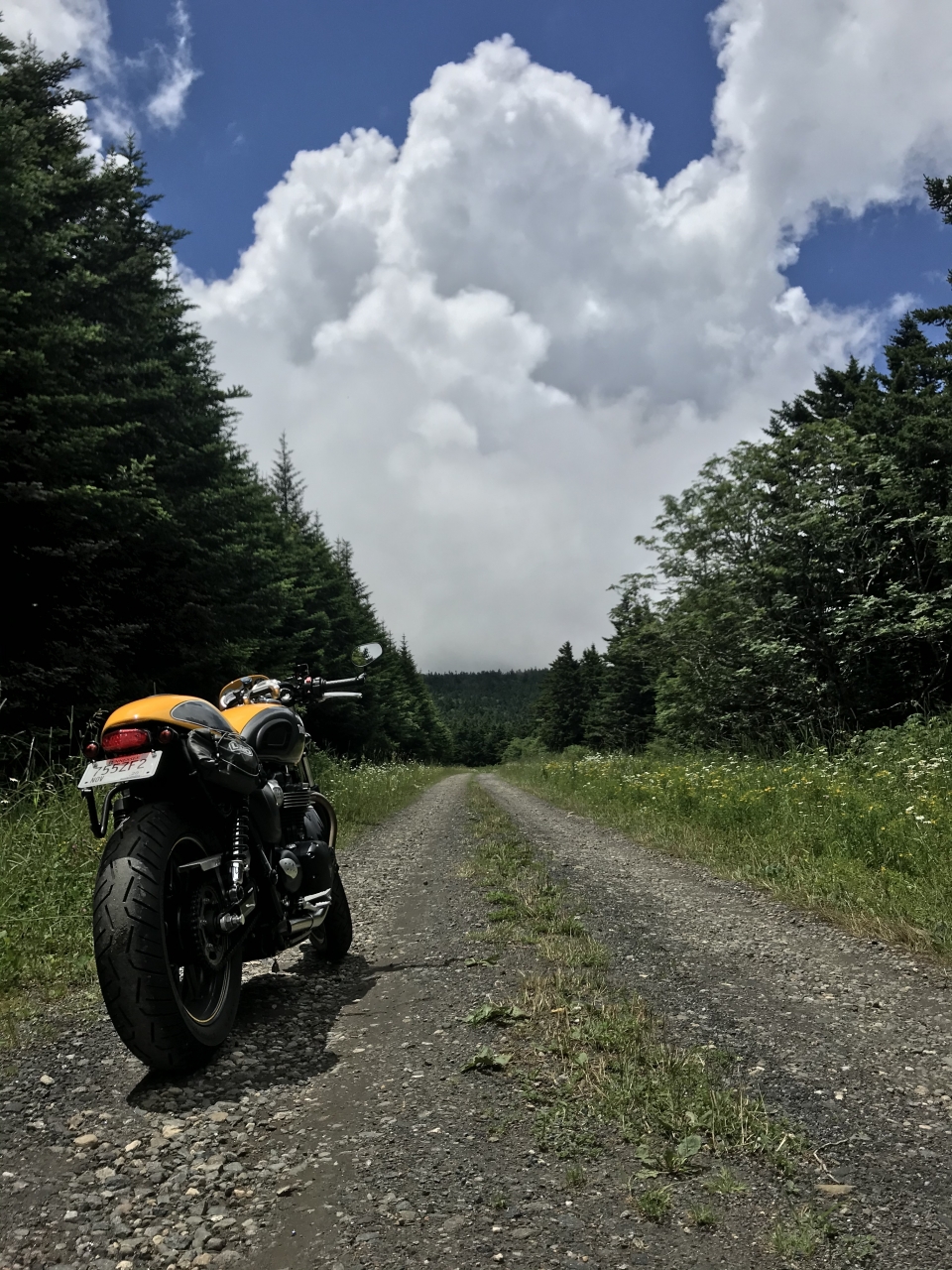 Roan Mountain, Tennessee