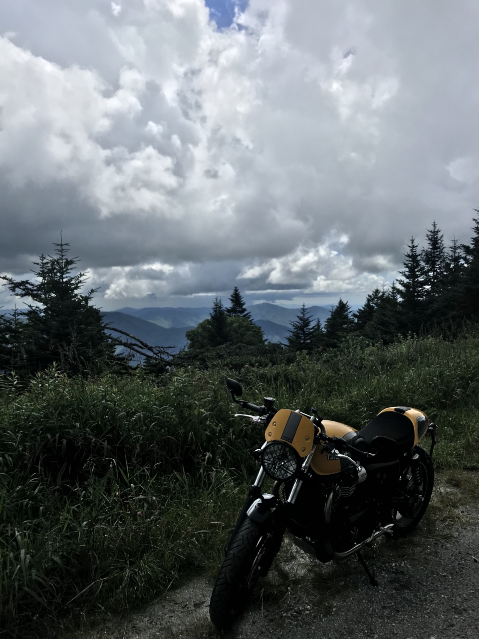 Top of Roan Mountain on gravel