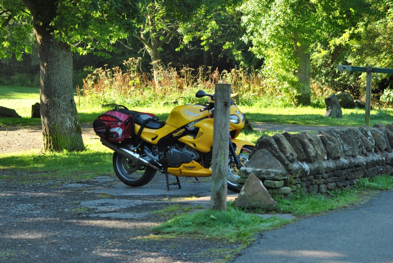 At Hamsterley Forest