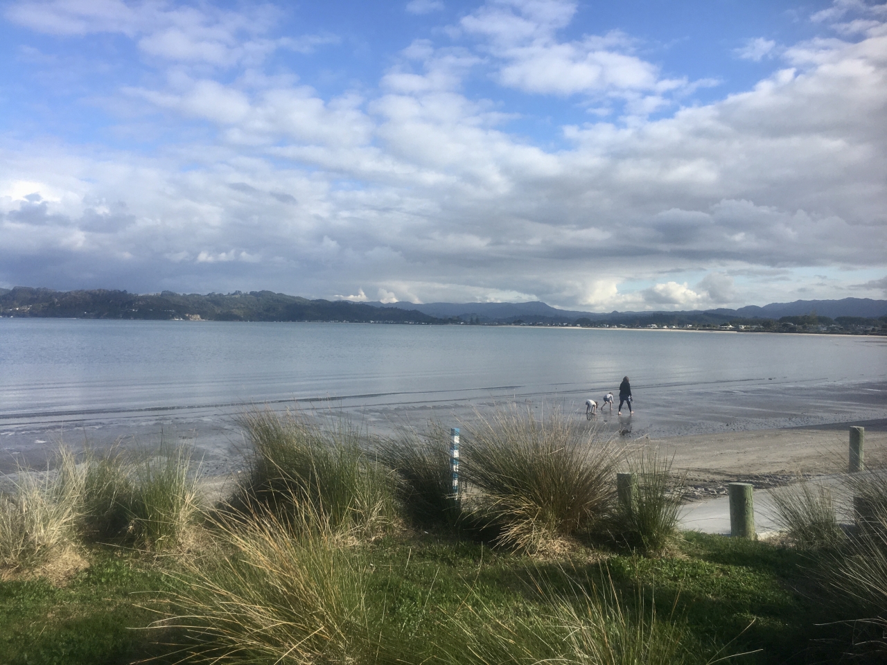 Whitianga’s shoreline and access to the Mercury Islands group (7)