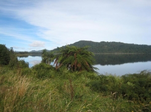 New Zealand Bike Trip Feb 2010