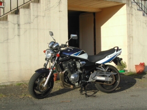 Bandit 1200