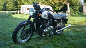 2010 Bonneville T100