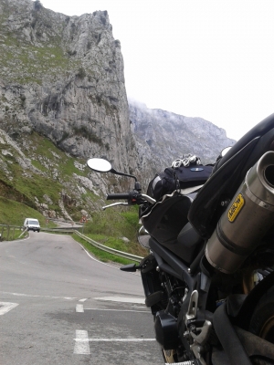 Picos De Europa