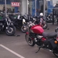 triumph shop