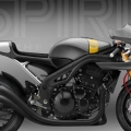 I really like this speed triple whoever did this did a cracking job