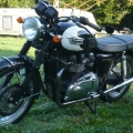 2010 Bonneville T100