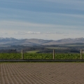 @ the David Stirling memorial