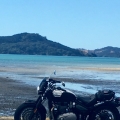 Kawakawa bay 10/2/19