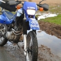 XT600e