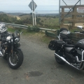 Kaipara 1/5/2020